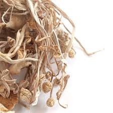 ENOKI DRIED MUSHROOM NL