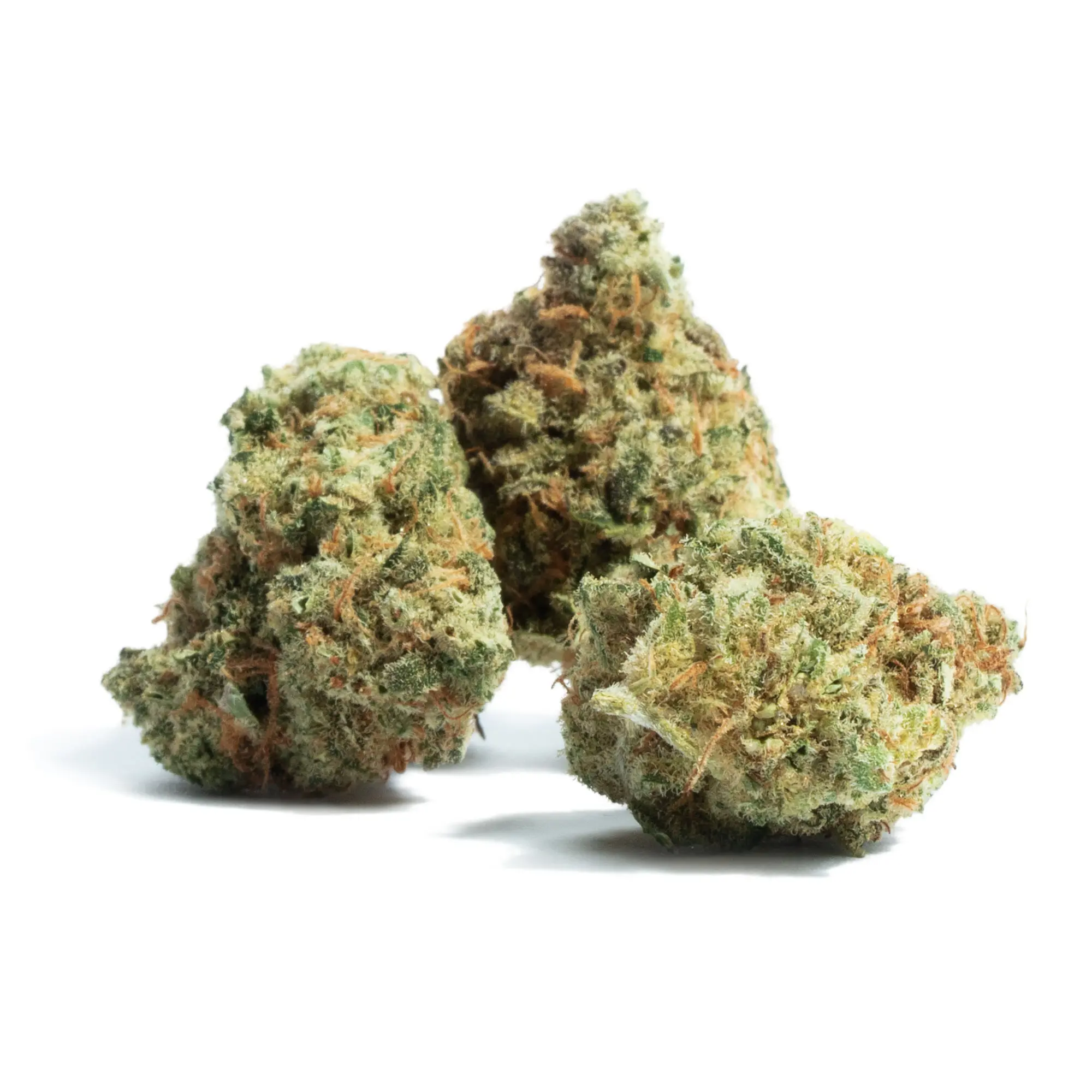 Marijuana Strains