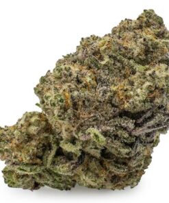 Animal Cookies Cannabis Strain