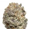 Black Gas Mask x Lavender Strain