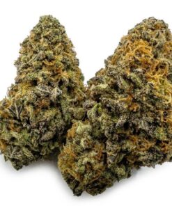 Blueberry Cheesecake Weed