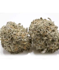 Blueberry Skunk Weed Strain