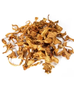 CHANTERELLE (GIROLLE) DRIED MUSHROOM UK