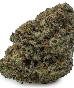 Dolato Marijuana Strain