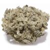 Gas Mask Marijuana Strain