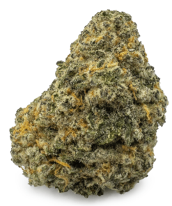 Gingerbread Cookies Weed