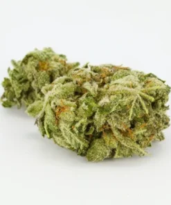 Hindu Kush Weed Strain