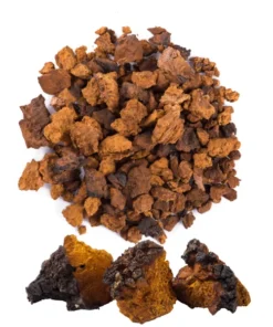 CHAGA DRIED MUSHROOM ONLINE UK