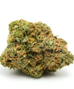 Nuken Marijuana Strain