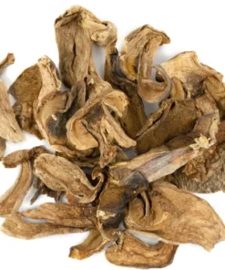 PORCINI DRIED MUSHROOM NL