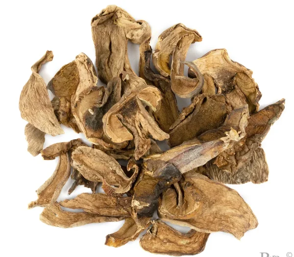 PORCINI DRIED MUSHROOM NL